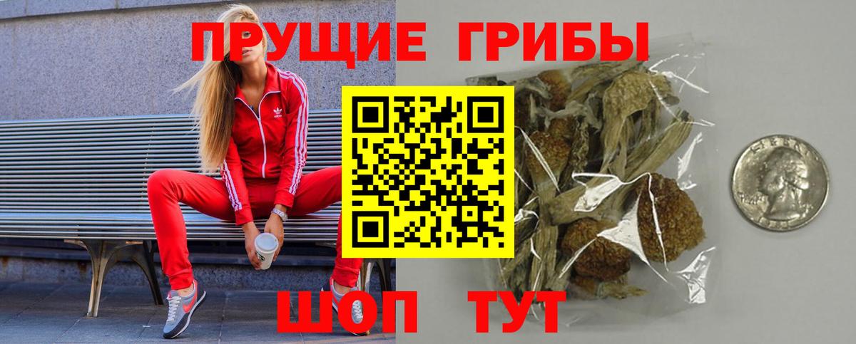 Псилоцибиновые грибы Magic Shrooms  Вход с VPN  Вольск  Галлюциногенные грибы Psilocybine cubensis 